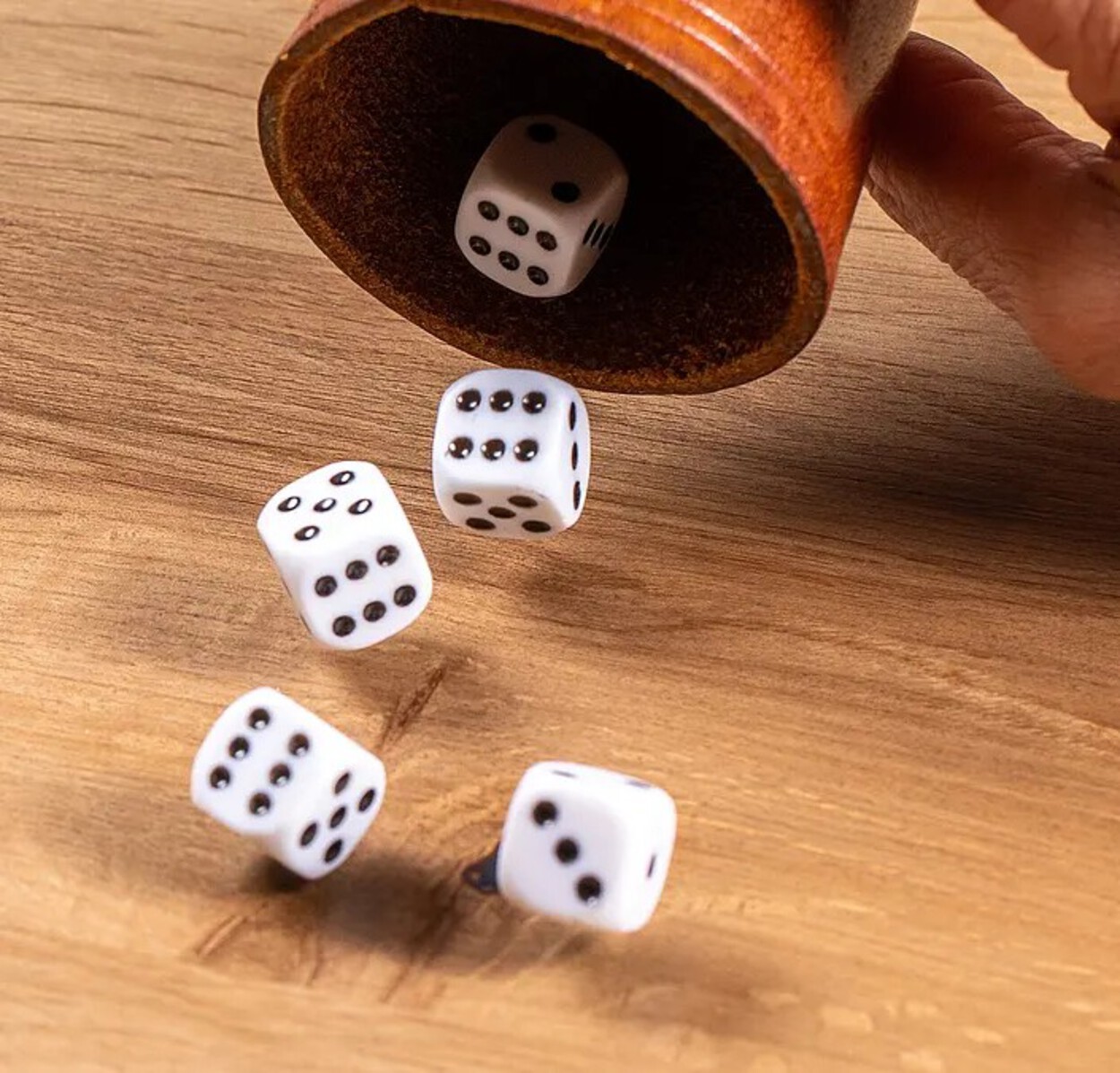 Fotos vom Würfelturnier 2026